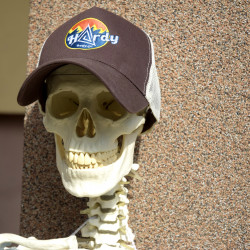 HRDY trucker hat
