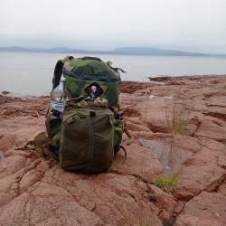 HARDY The FAT STINGRAY pocket